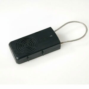 Padlock Beveiligingstags RF (50 st.)